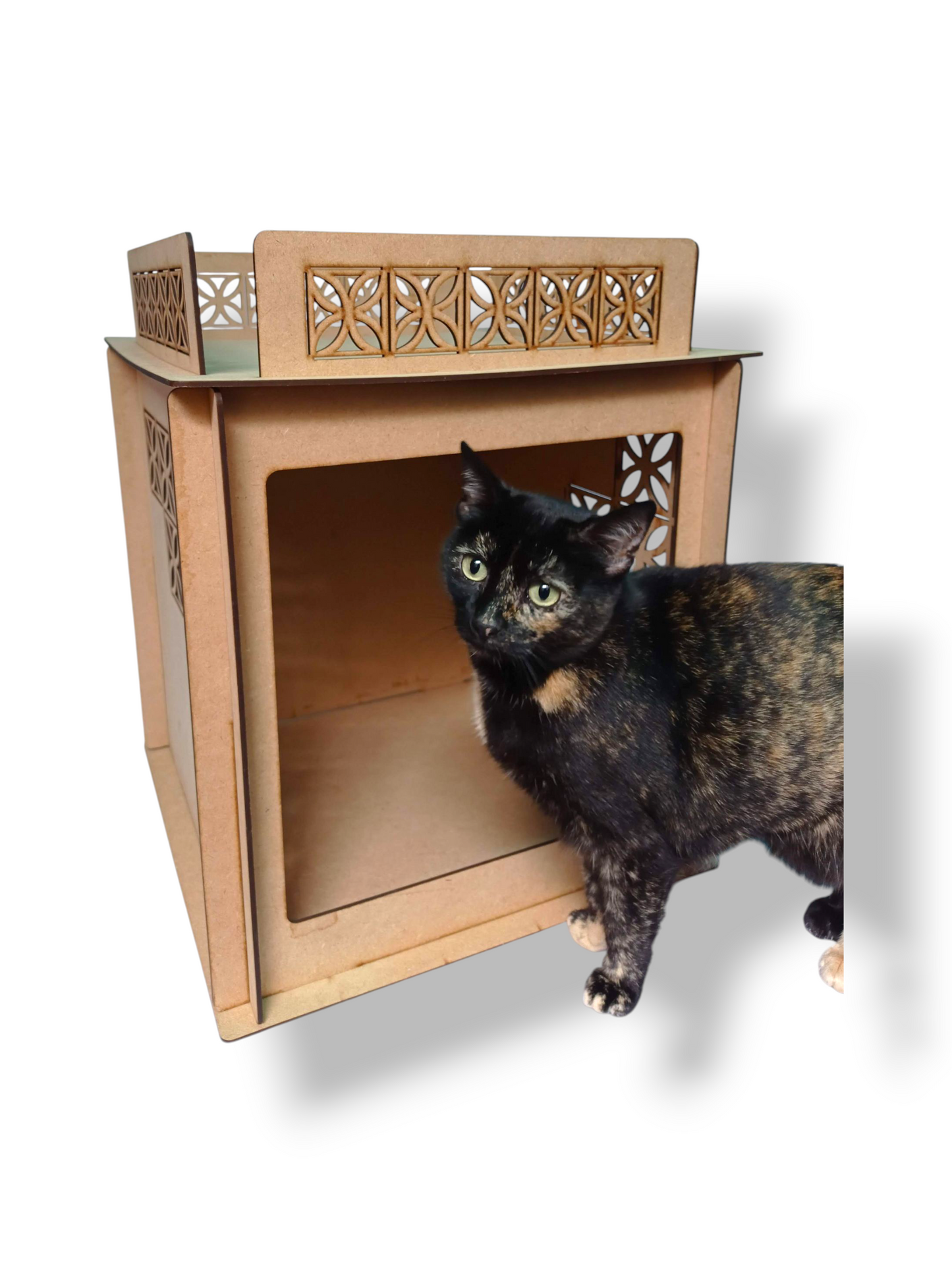 Cat Condo