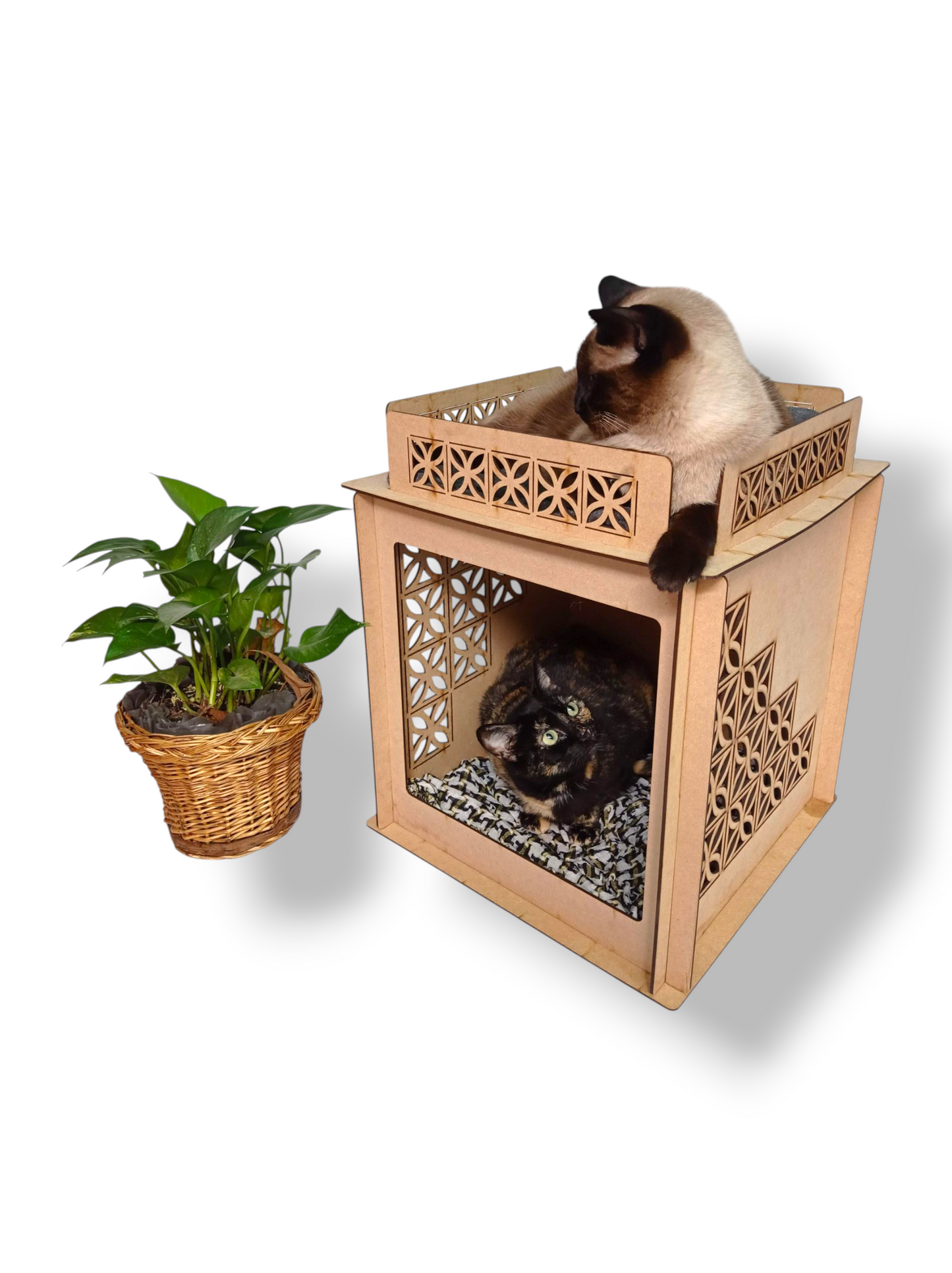 Cat Condo