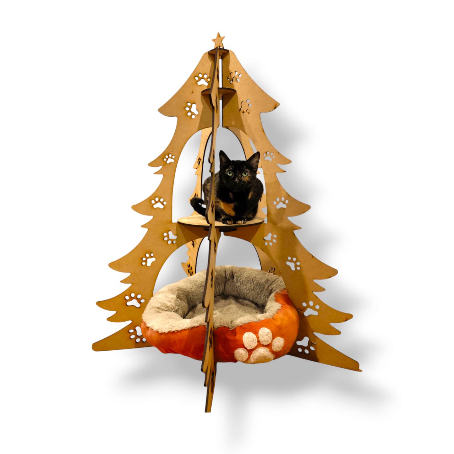 Xmas Cats