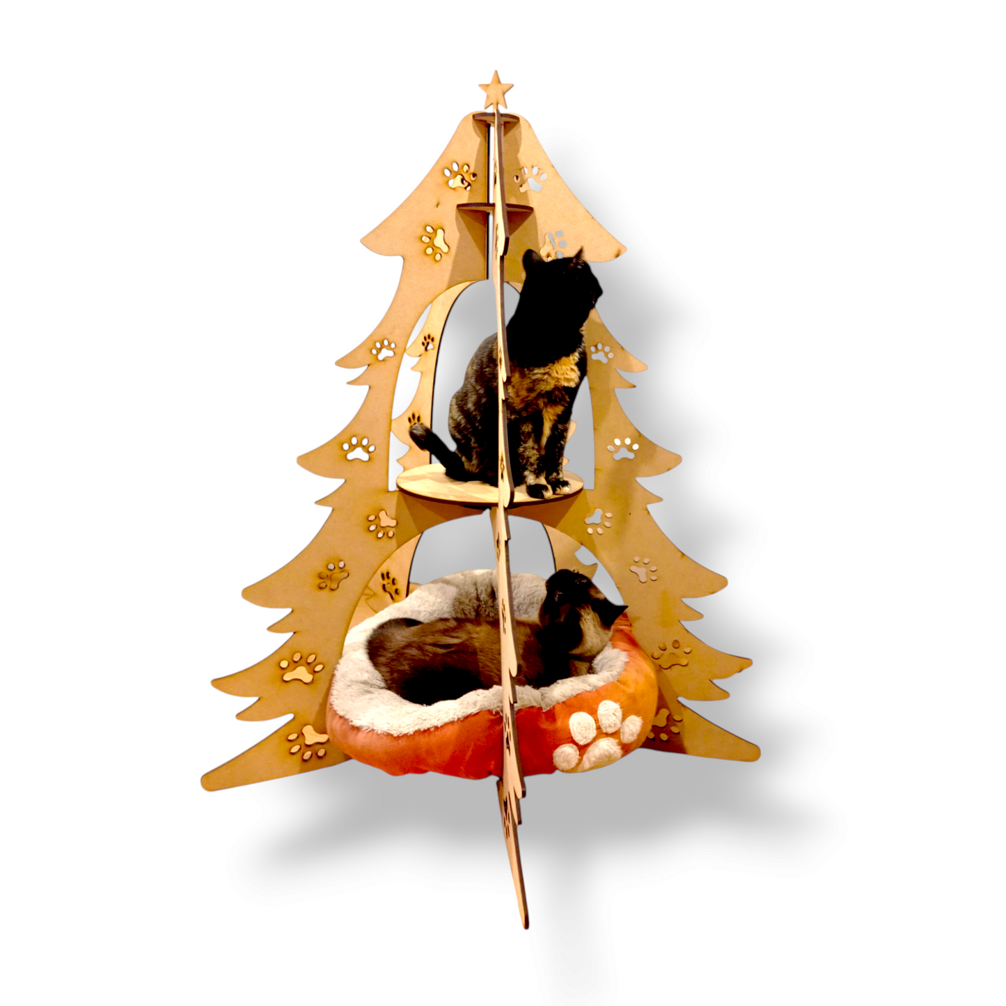 Xmas Cats