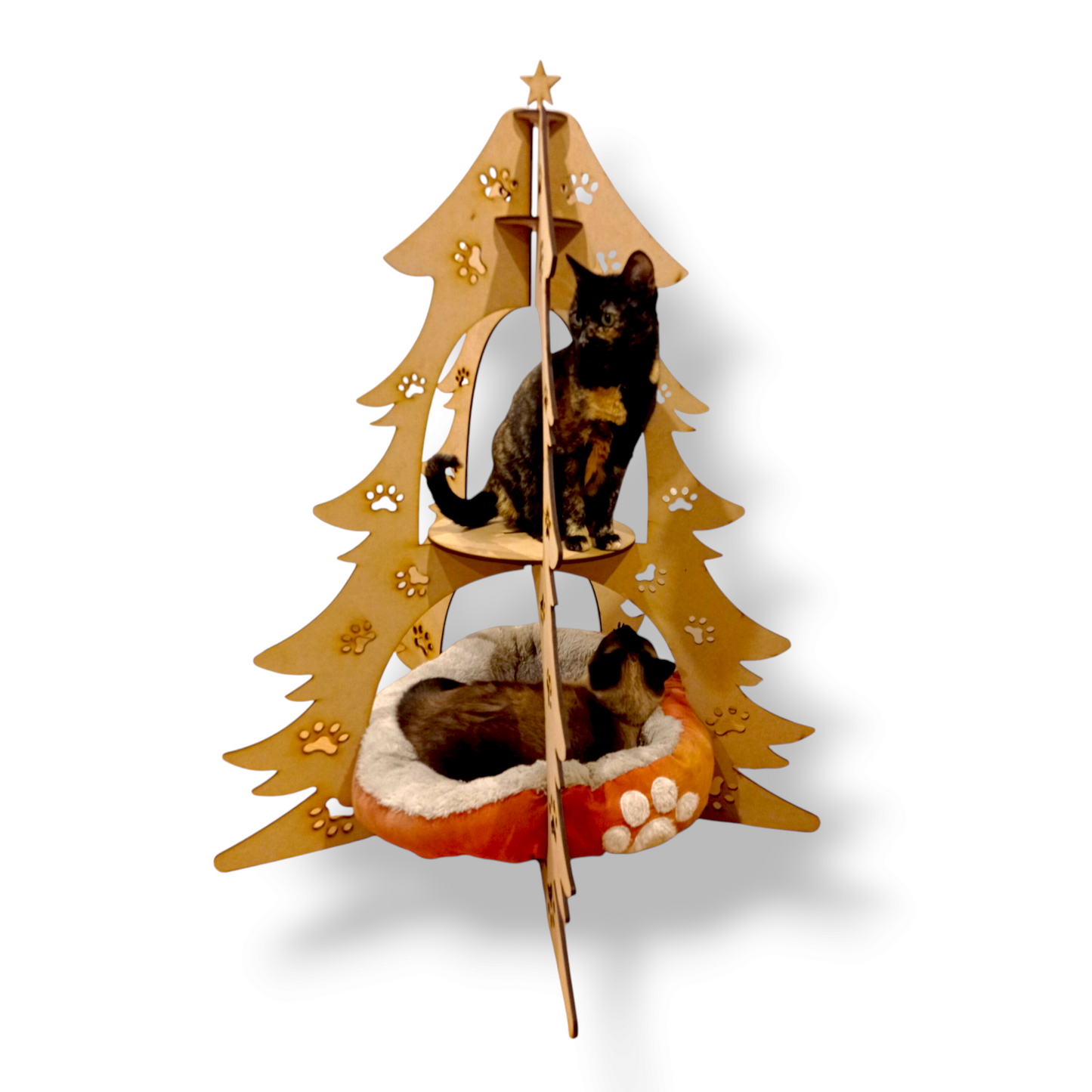 Xmas Cats
