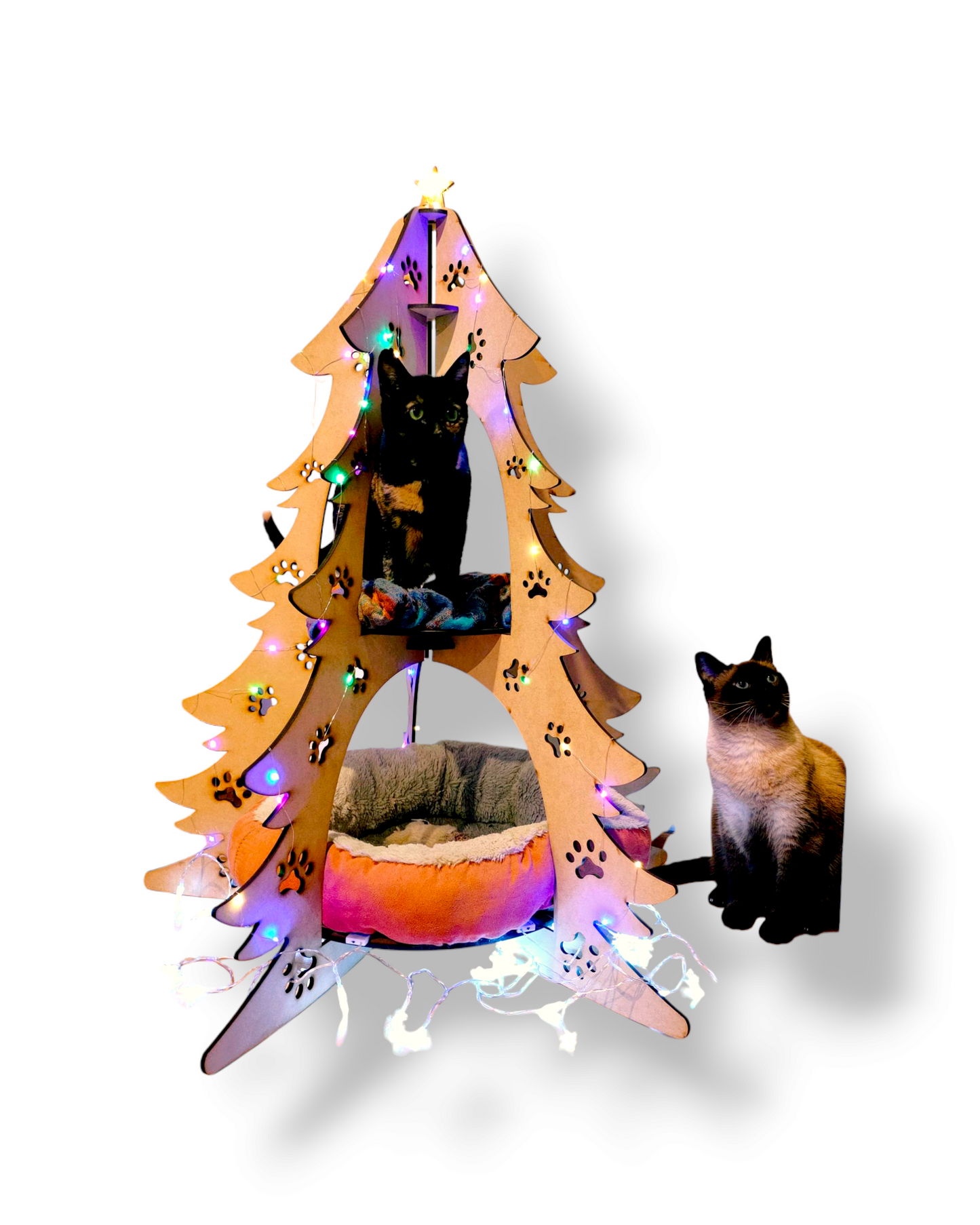 Xmas Cats